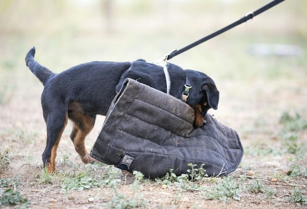 Assurance entreprise loop : votre clé pour un avenir serein